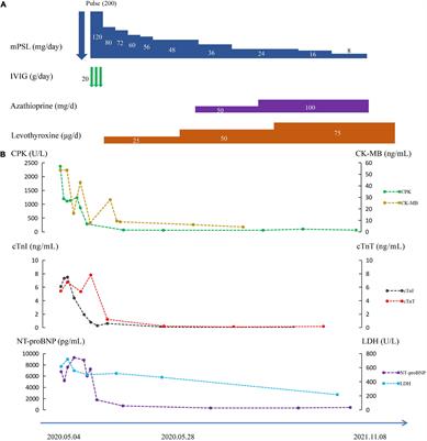 Multisystem immune-related adverse events due to toripalimab: Two cases-based review